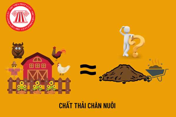 Trang trại chăn nuôi có bắt buộc phải thu gom và xử lý chất thải rắn